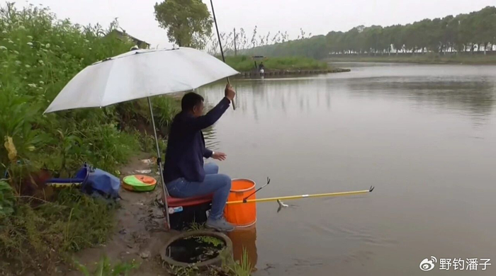 开云体育-老祖宗传的24字钓鱼谚语，吃透了，春夏秋冬钓啥鱼都不白跑|太阳|钓鱼技巧|水温|雨后|深水区_新浪体育_新浪新闻
